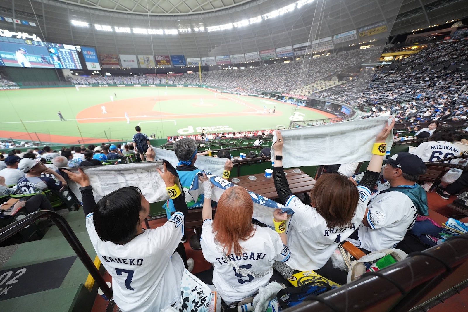 スポーツ 観戦 と は